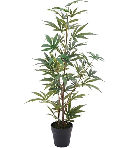 Amazon｜FeyFey フェイクグリーン 大麻 マリファナ CBD 造花
